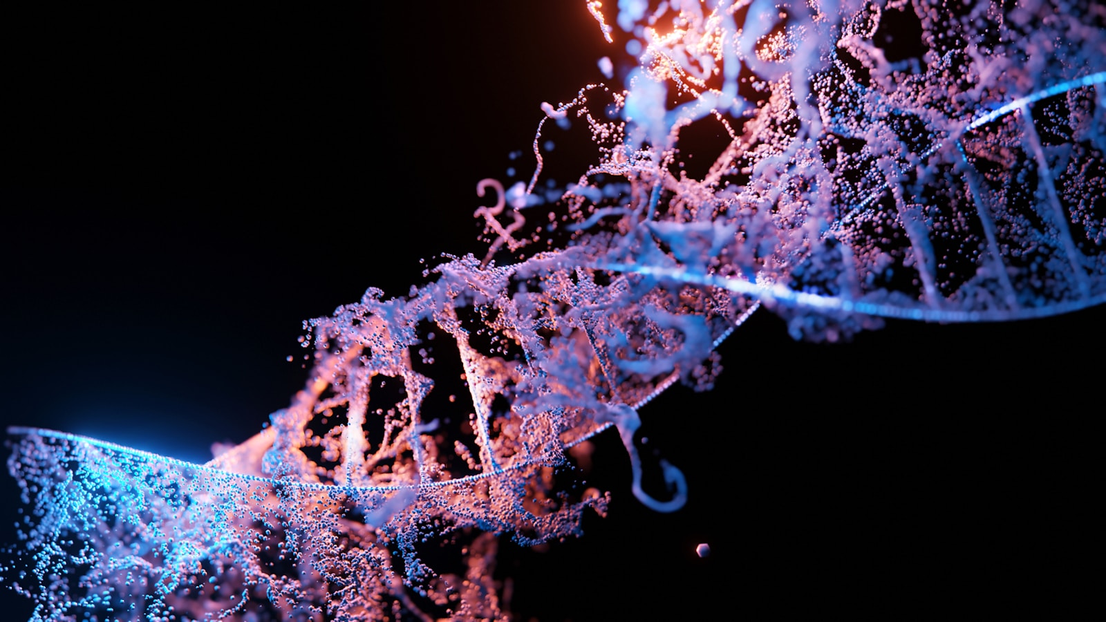 jak zrobić model dna
